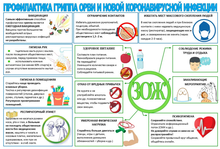 Профилактика заболеваний.